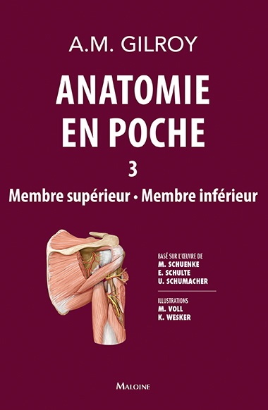 Image Anatomie en poche Tome 2: Membre supérieur, membre inférieur
