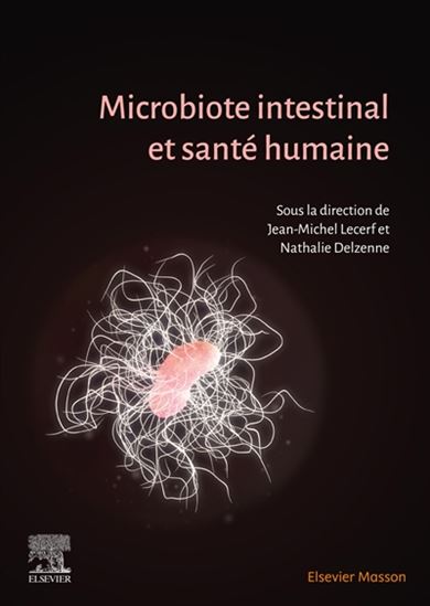 Image Microbiote intestinal et santé humaine