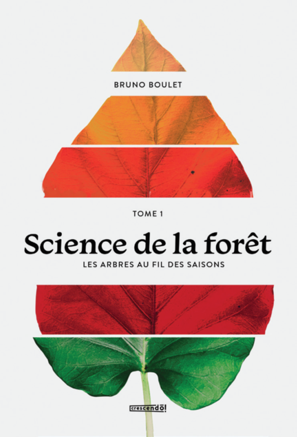 Image Science de la forêt T.1 : Les arbres au fil des saisons