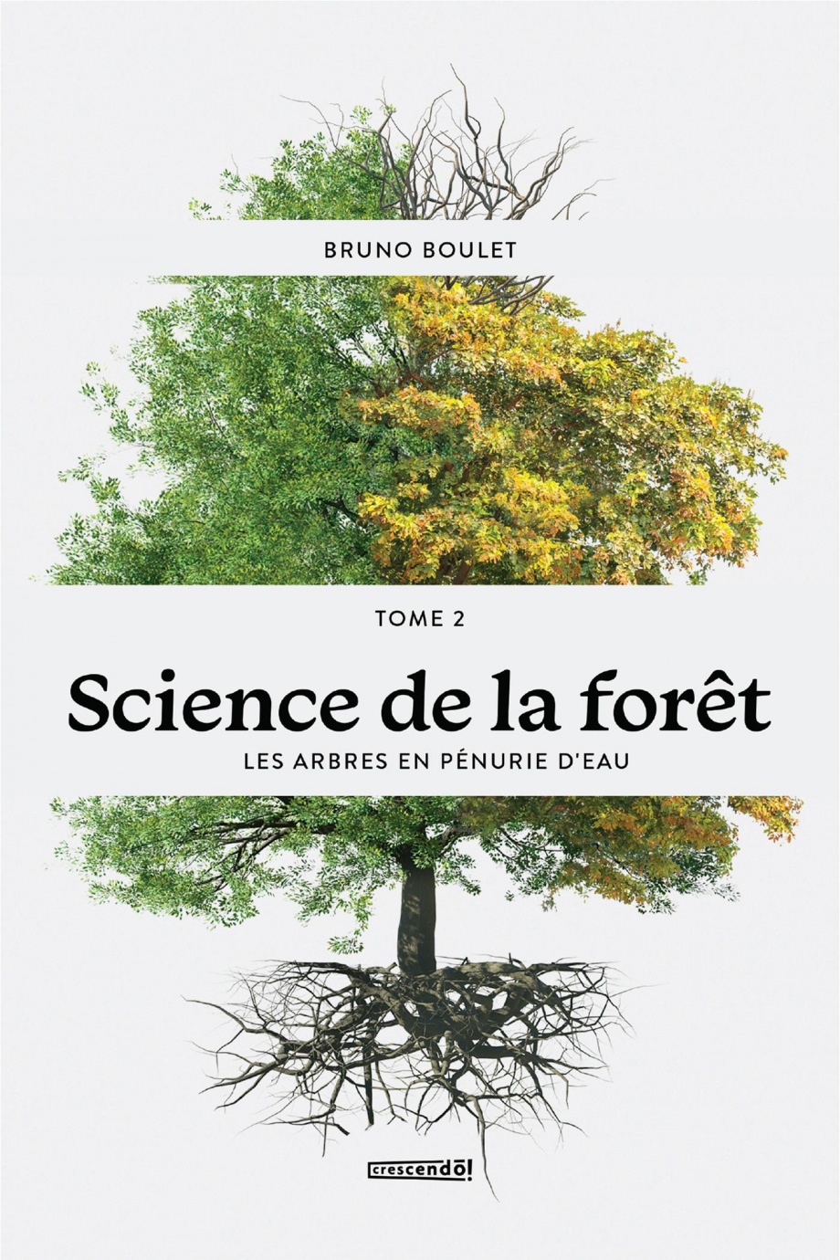 Image Science de la forêt T.2 : Les arbres en pénurie d'eau