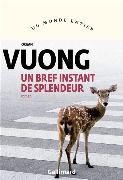Image Un bref instant de splendeur : roman