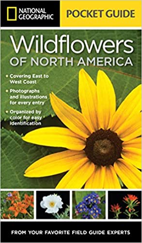 Image Pocket guide to the wildflowers of North America