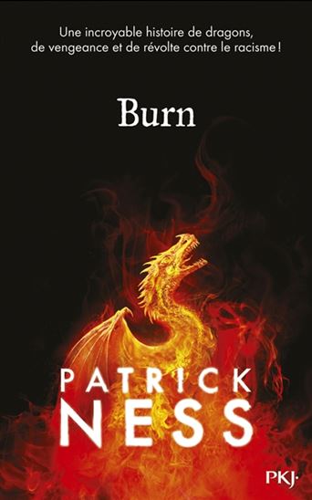 Image Burn