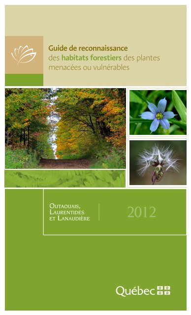 Image Guide de reconnaissance des habitats forestiers des plantes menacées ou vulnérables : Outaouais, Laurentides et Lanaudière