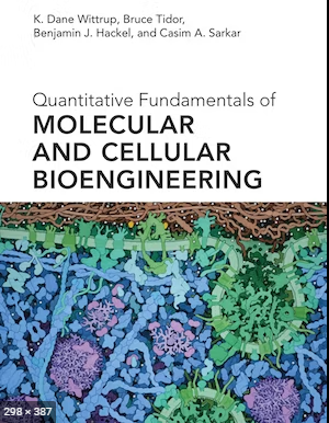Image Quantitative fundamentals of molecular and cellular bioengineering