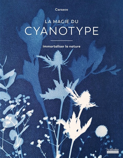 Image La magie du cyanotype : immortaliser la nature