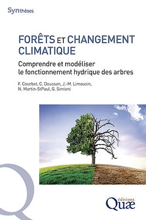 Image Forêts et changement climatique : comprendre et modéliser le fonctionnement hydrique des arbres