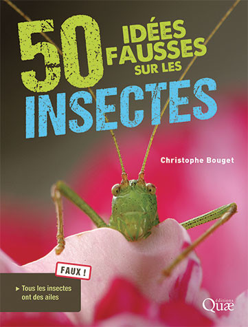 Image 50 idées fausses sur les insectes