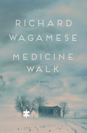Image Medicine walk
