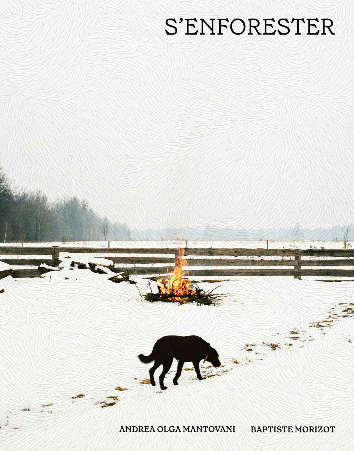 Image S'enforester