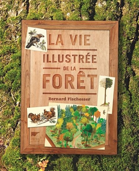 Image La vie illustrée de la forêt