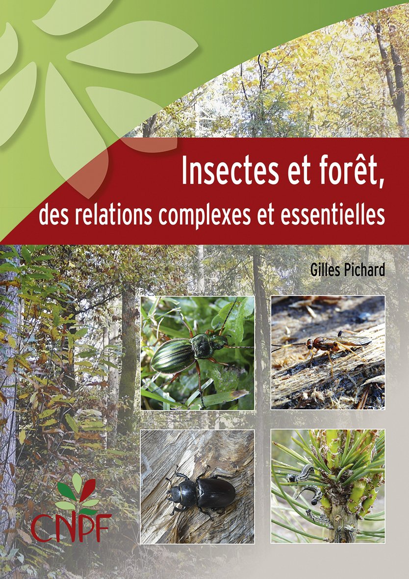 Image Insectes et forêt : des relations complexes et essentielles