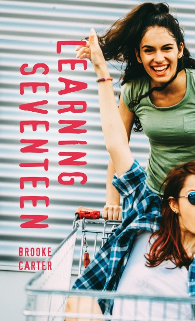 Image Learning seventeen (en ligne)