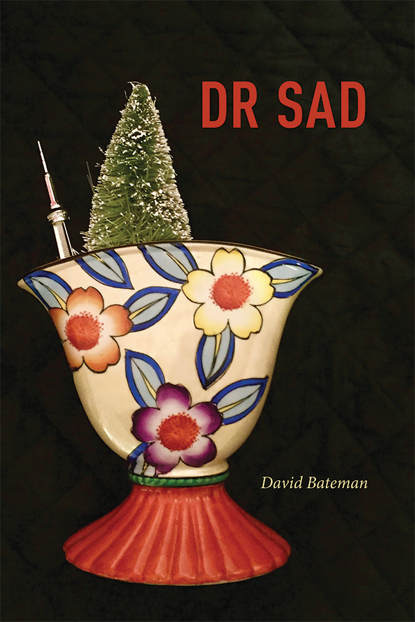 Image Dr Sad : a month and a day (en ligne)