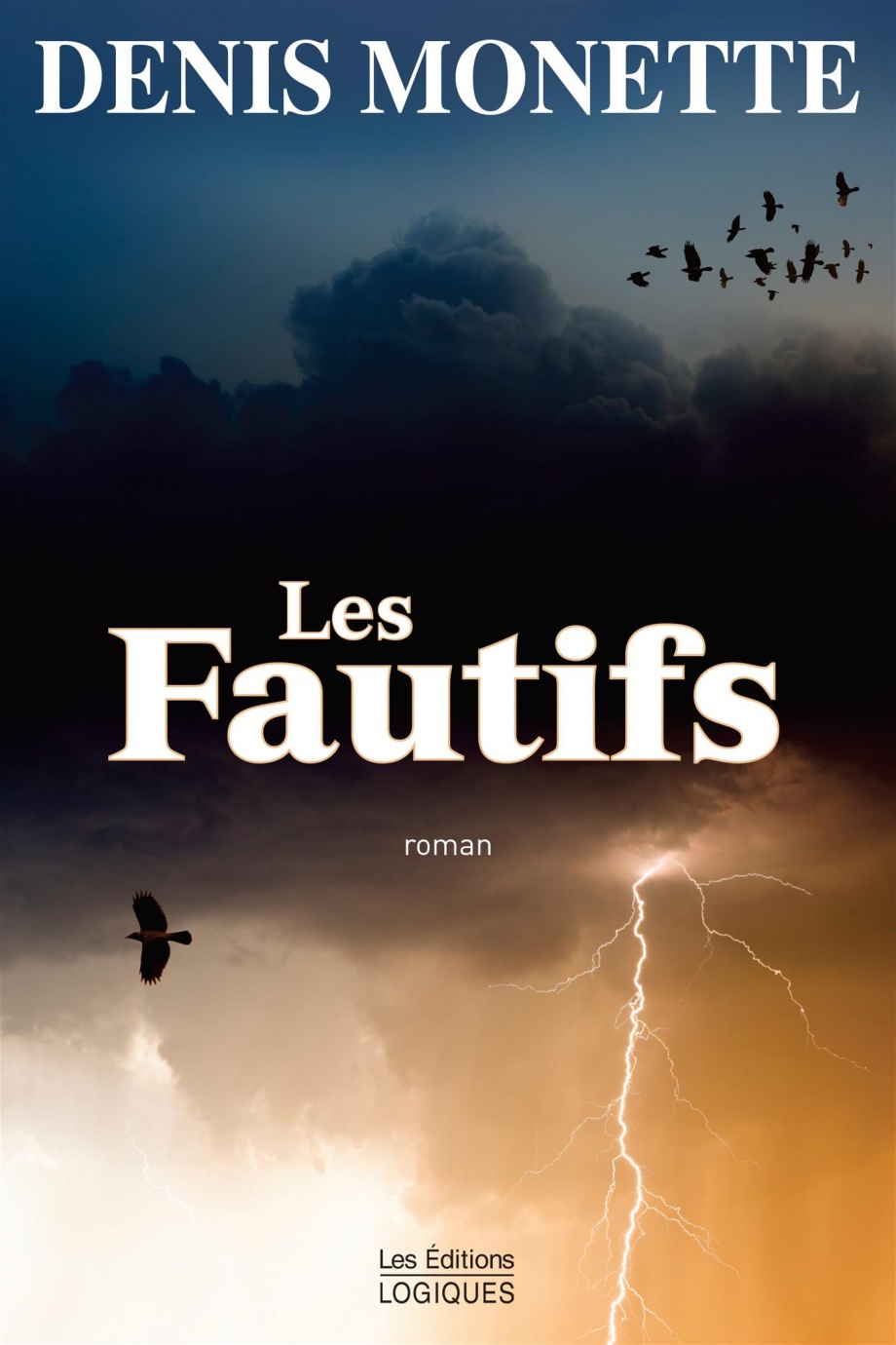 Image Les fautifs : roman