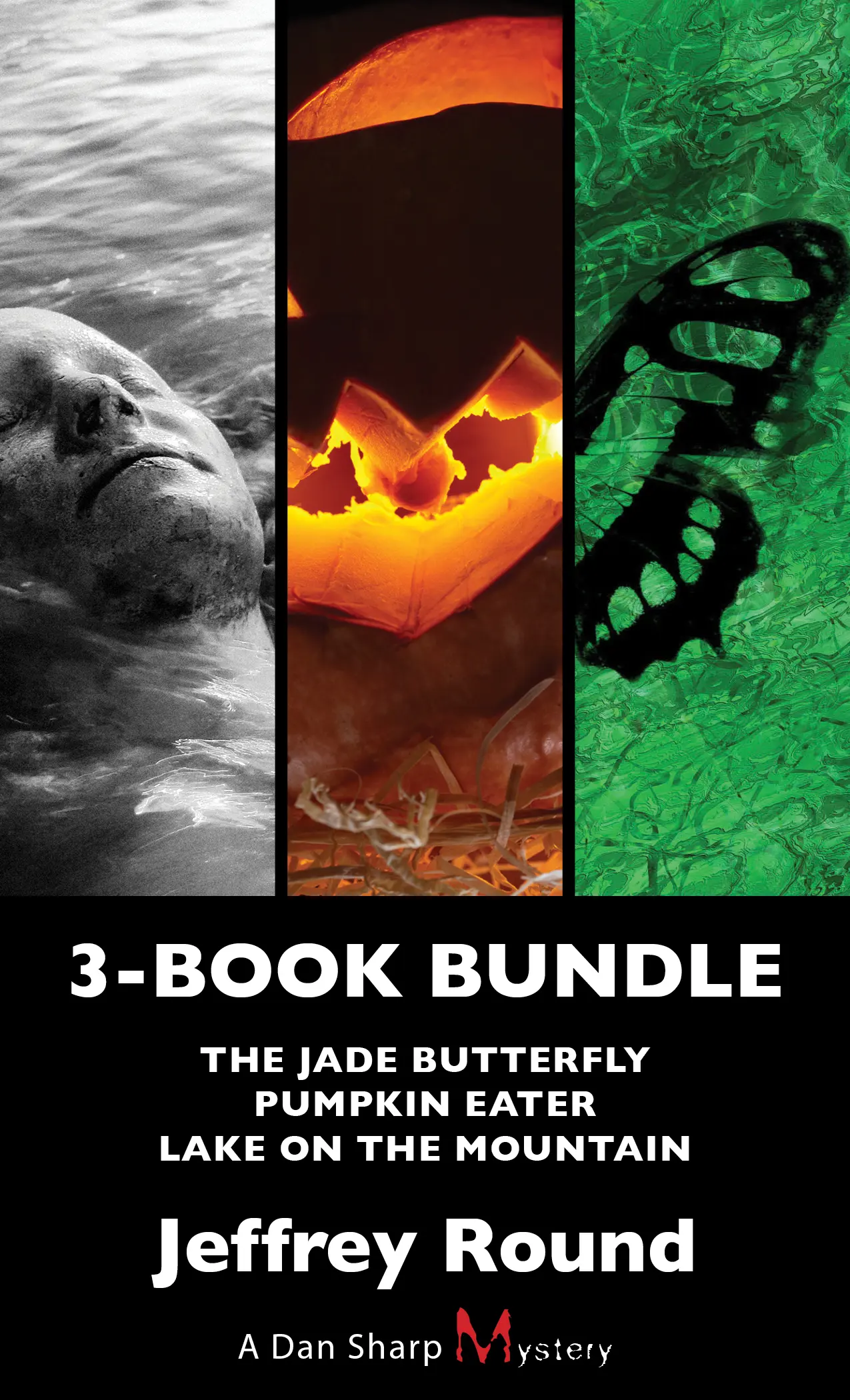 Image Dan Sharp mysteries 3-book bundle : the jade butterfly, Pumpkin eater, Lake on the mountain (en ligne)