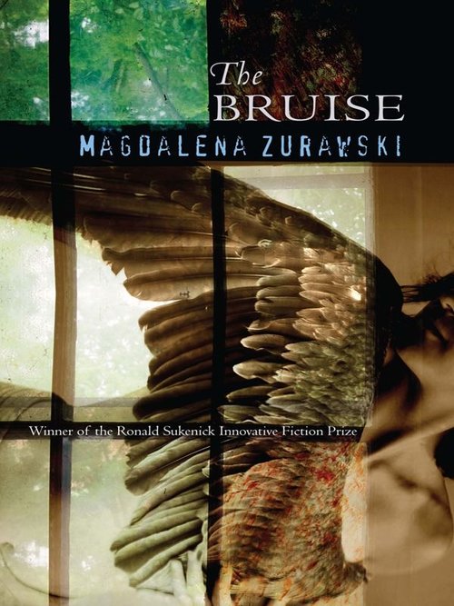 Image The bruise (en ligne)