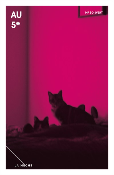 Image Au 5e : roman d'amours