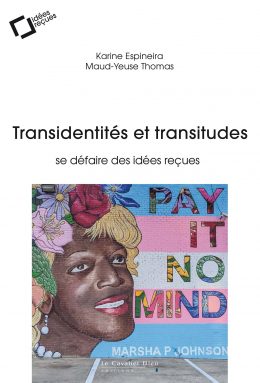Image Transidentités et transitudes : se défaire des idées reçues