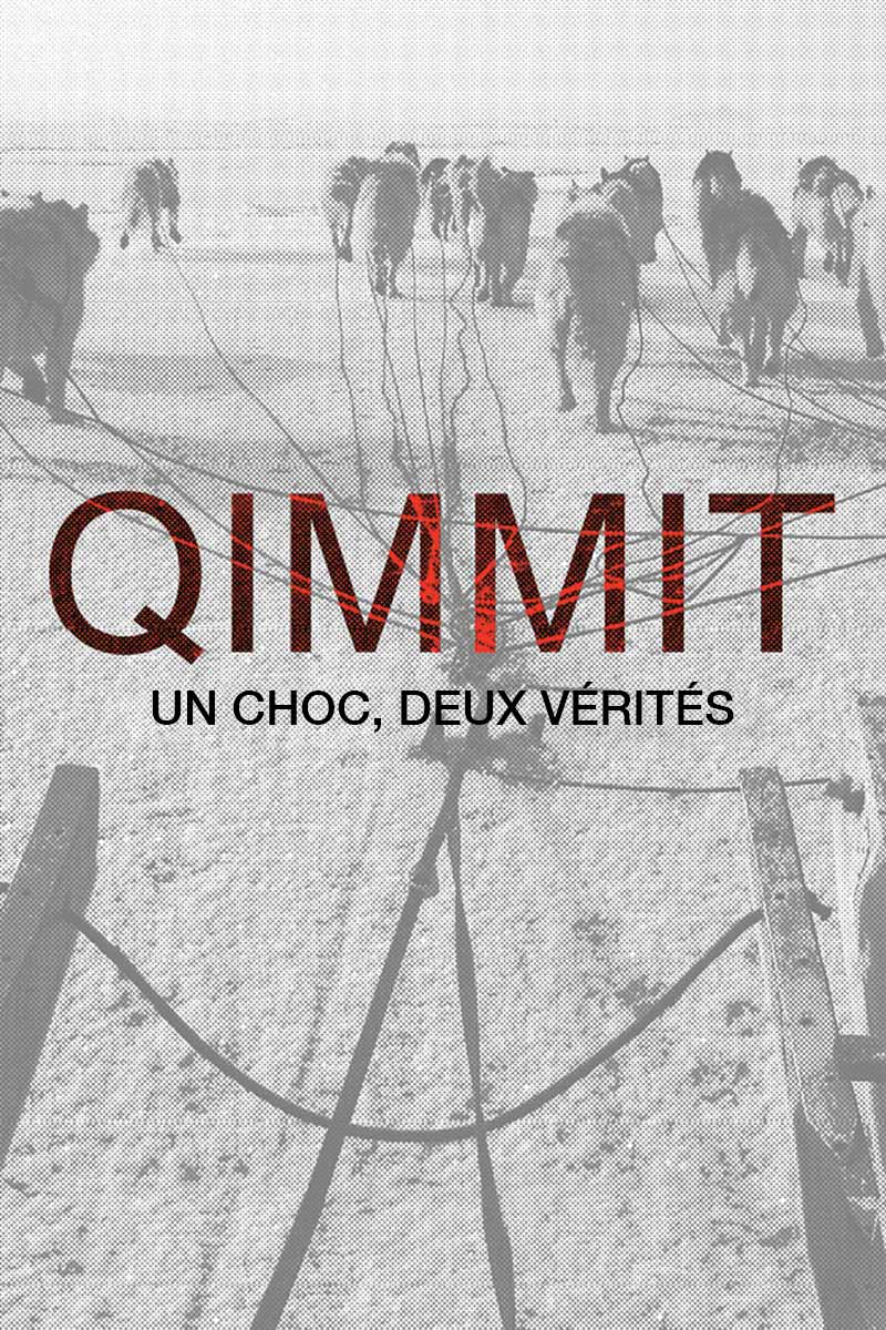 Image Qimmit : Un choc deux vérités