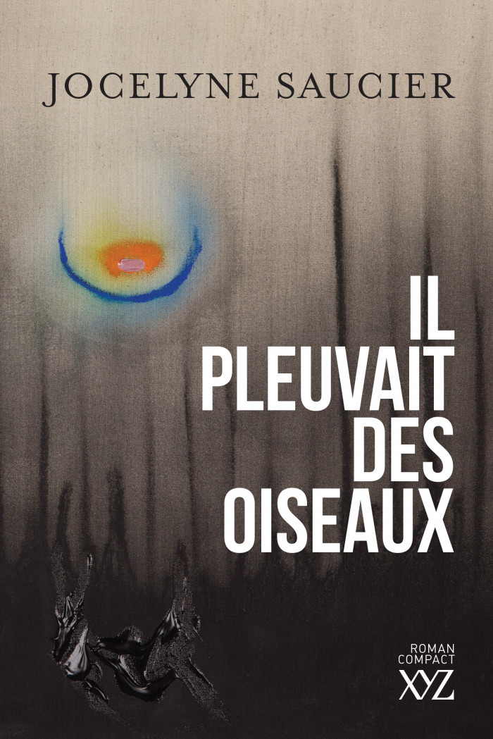 Image Il pleuvait des oiseaux.