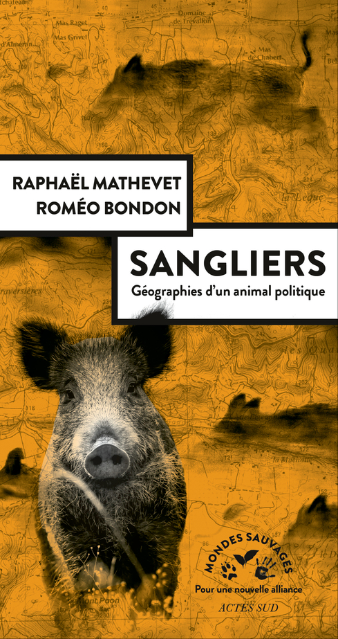 Image Sangliers : géographies d'un animal politique