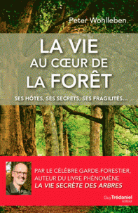 Image La vie au cœur de la forêt : ses hôtes, ses secrets...