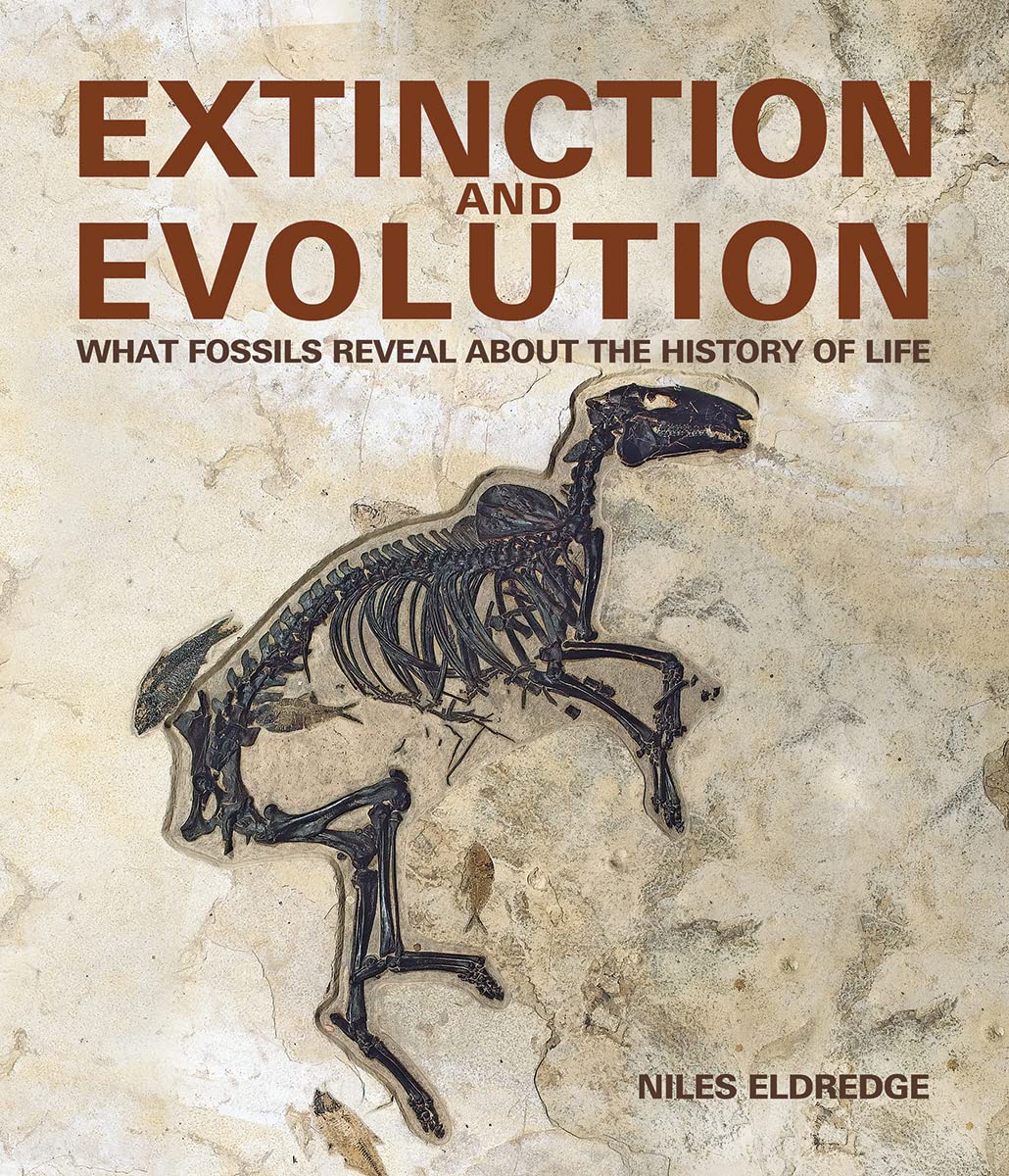 Image Extinction and evolution : what fossils reveal about the history of life