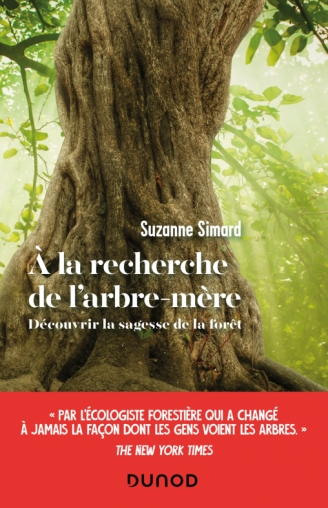 Image À la recherche de l'arbre-mère : découvrir la sagesse de la forêt