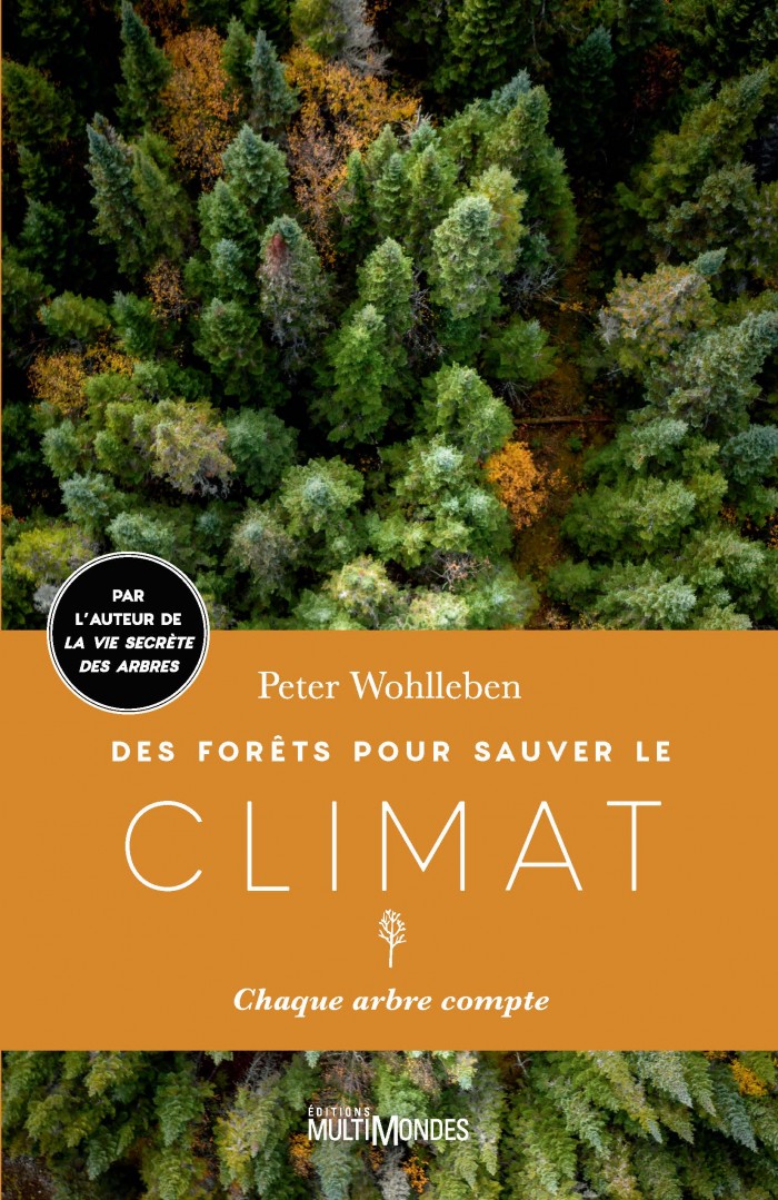 Image Des forêts pour sauver le climat : chaque arbre compte
