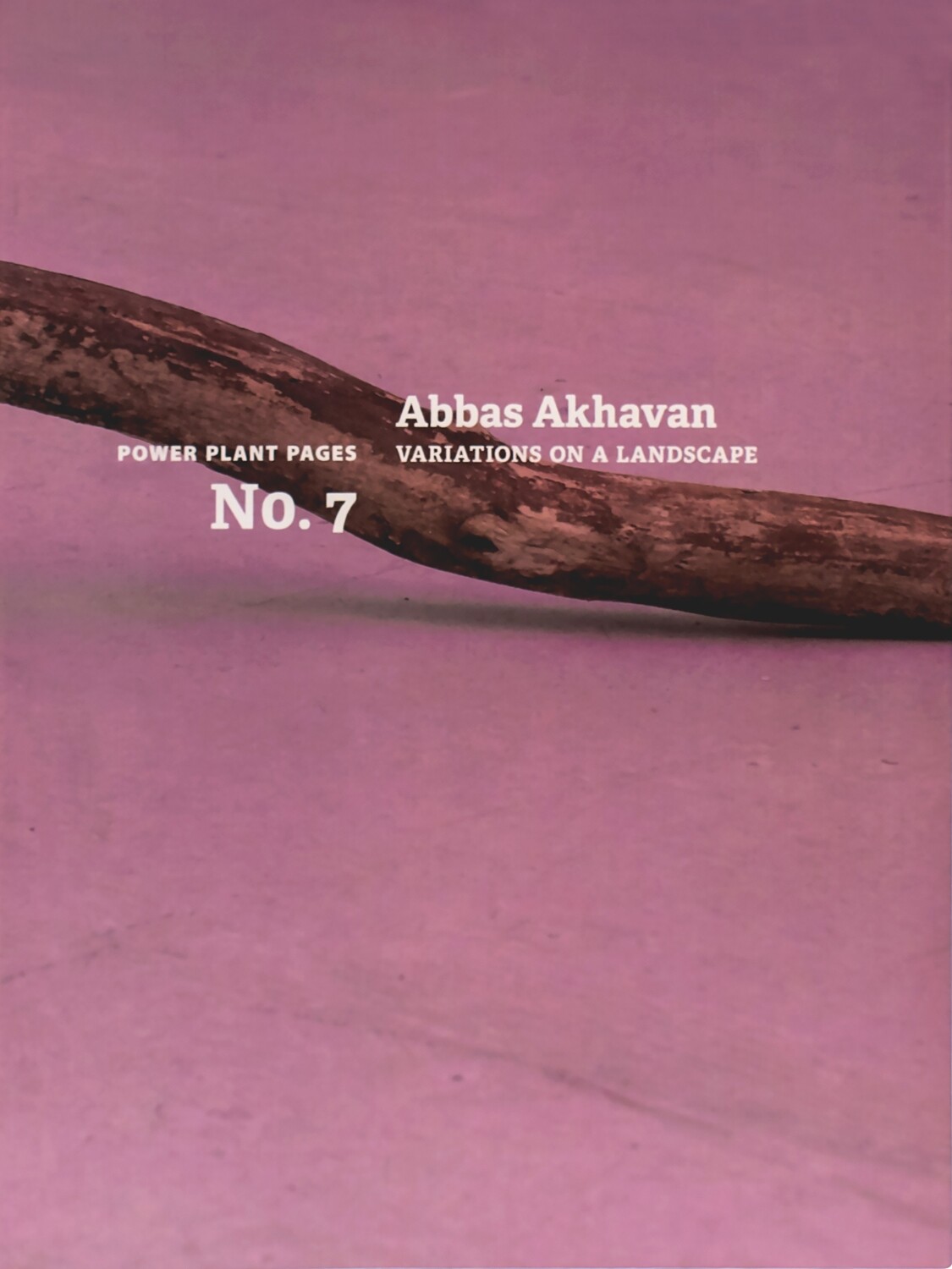 Image Abbas Akhavan : variations on a landscape