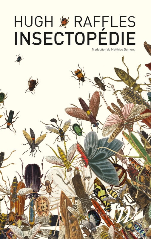Image Insectopédie