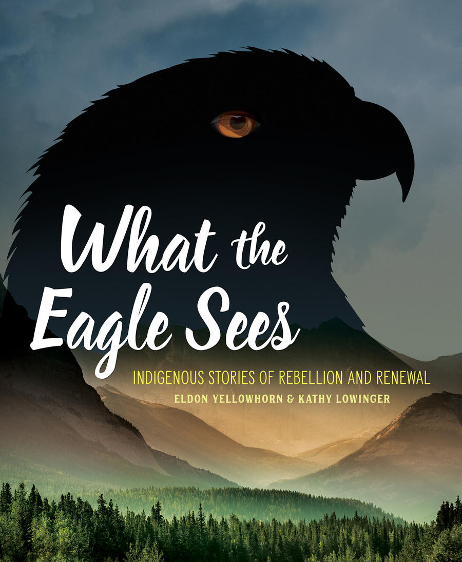Image What the eagle sees : Indigenous stories of rebellion and renewal