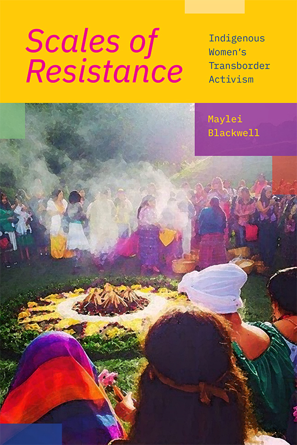 Image Scales of resistance : indigenous women's transborder activism