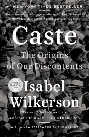 Image Caste : the origins of our discontents