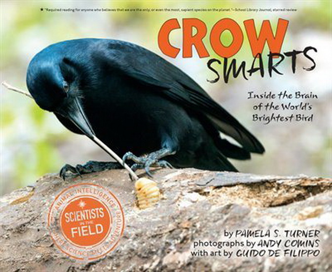 Image Crow smarts : inside the brain of the world's brightest bird