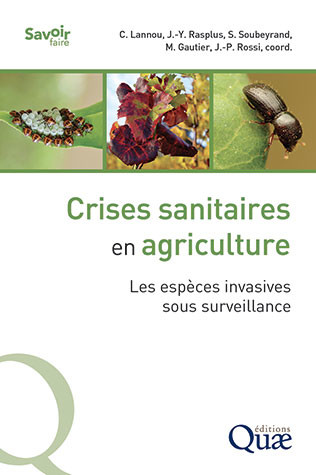 Image Crises sanitaires en agriculture : les espèces invasives sous surveillance