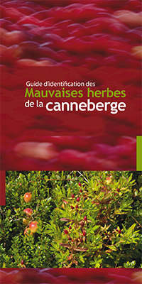 Image Guide d'identification des mauvaises herbes de la canneberge