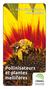 Image Pollinisateurs et plantes mellifères : guide d'identification et de gestion