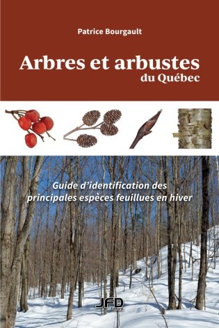 Image Arbres et arbustes du Québec : guide d'identification des principales espèces feuillues en hiver