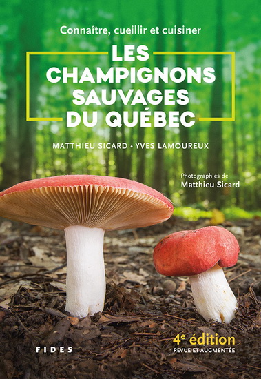 Image Connaître, cueillir et cuisiner les champignons sauvages du Québec