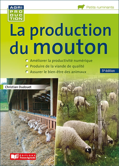 Image La production du mouton