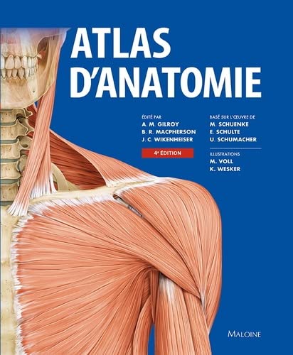 Image Atlas d'anatomie
