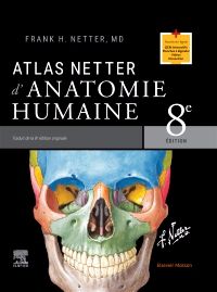 Image Atlas Netter d'anatomie humaine