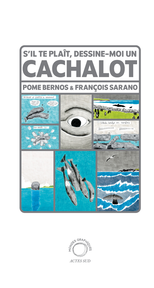 Image S'il te plaît, dessine-moi un cachalot