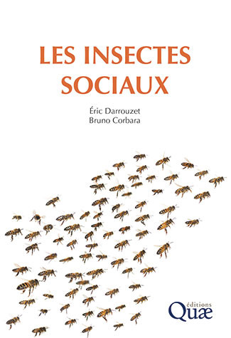 Image Les insectes sociaux