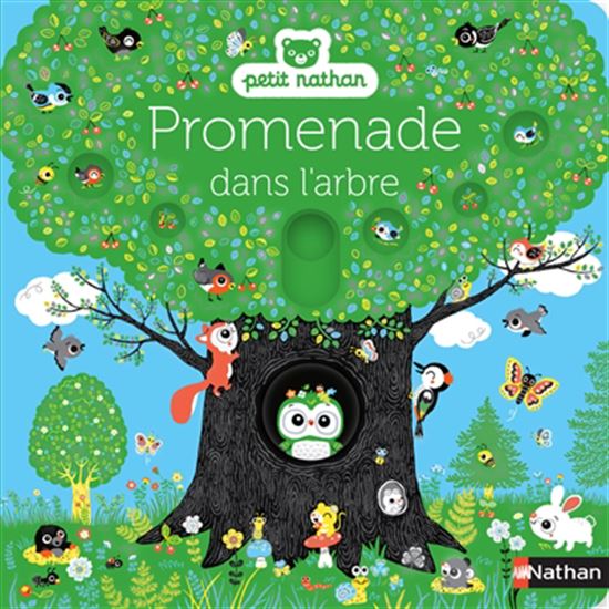 Image Promenade dans l'arbre