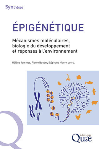 Image Épigénétique : mécanismes moléculaires, développement et réponses à l'environnement