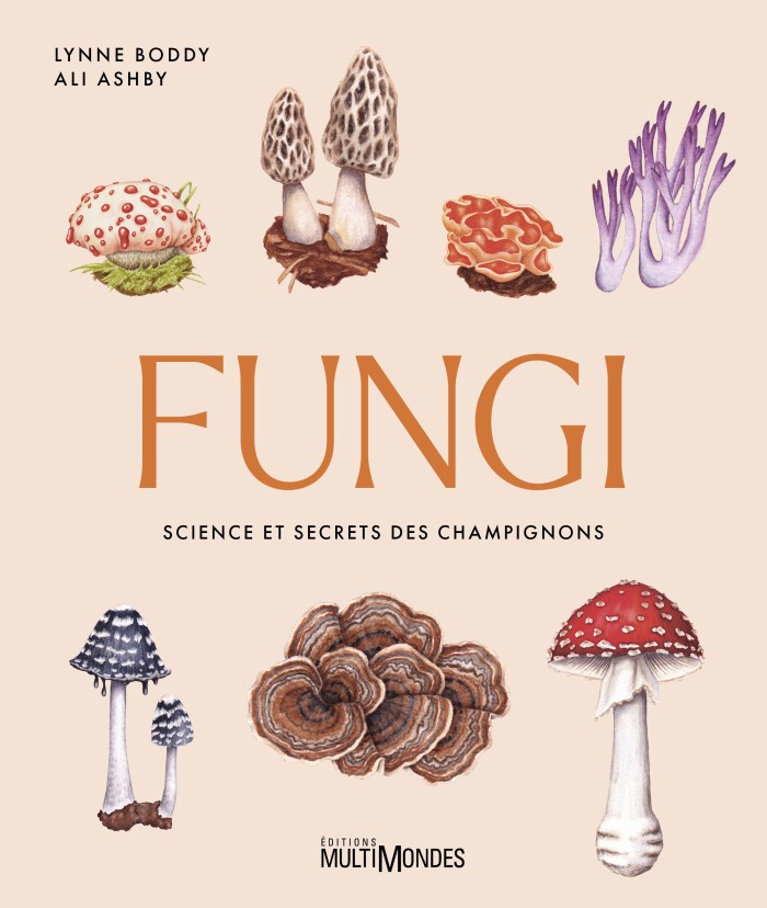 Image Fungi : science et secrets des champignons