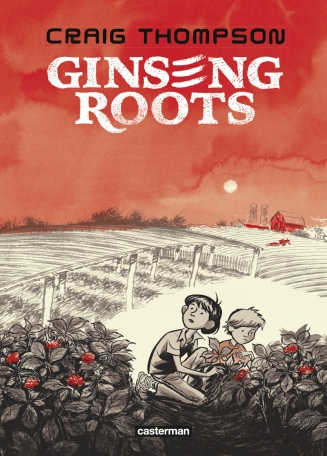 Image Ginseng roots